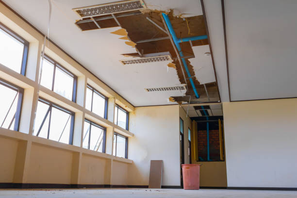 Best 24/7 water damage repair  in Port Ludlow, WA