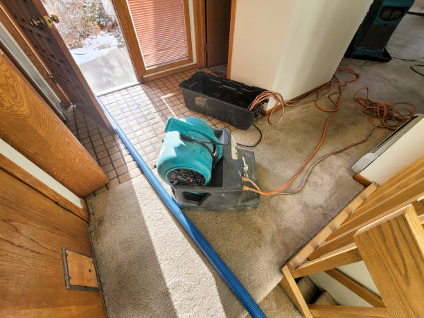 Best Professional water damage repair  in Port Ludlow, WA