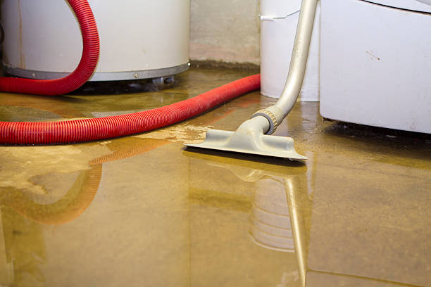 Best Mold removal after water damage  in Port Ludlow, WA