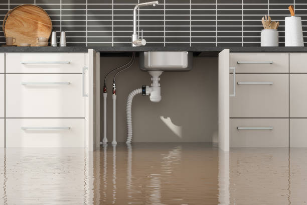 Best Commercial water damage restoration  in Port Ludlow, WA